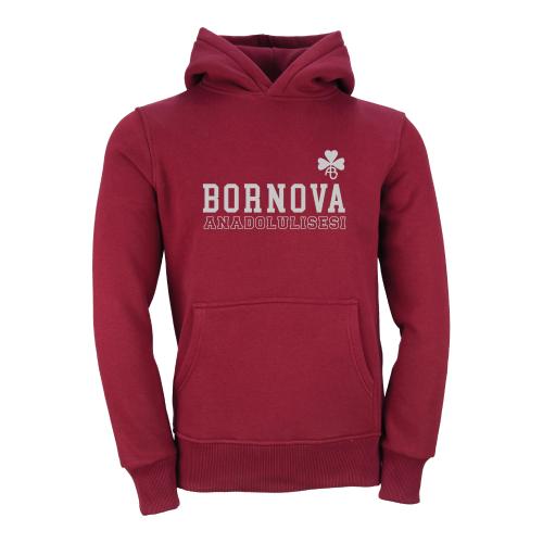 Bornova Anadolu Lisesi Model 3