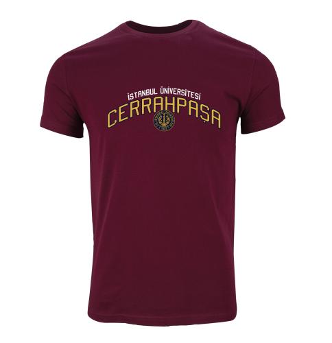 Istanbul Üniversitesi-Cerrahpasa Model 4