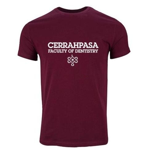 Istanbul Üniversitesi-Cerrahpasa Dis Hekimligi Model 2